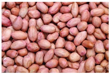 我們應(yīng)該怎么選購一臺性價比高的榨油機設(shè)備