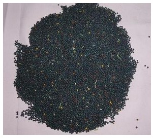 我們應(yīng)該怎么選購一臺性價比高的榨油機設(shè)備