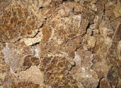 我們應(yīng)該怎么選購一臺性價比高的榨油機設(shè)備