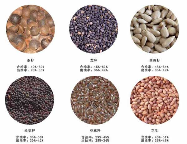 專(zhuān)業(yè)榨油必備知識(shí)解析之——出油率
