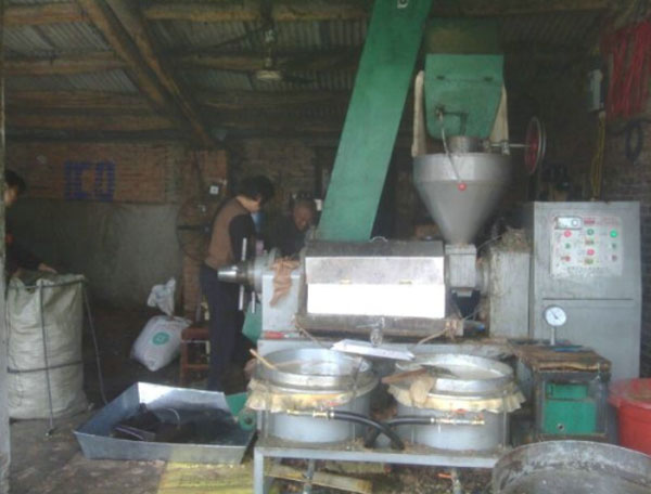 榨油機(jī)用戶訪問(wèn)：鄉(xiāng)鎮(zhèn)之間榨油坊生意如何？