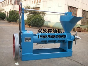 雙象榨油機(jī)如何安裝固定？